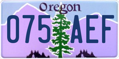 OR license plate 075AEF