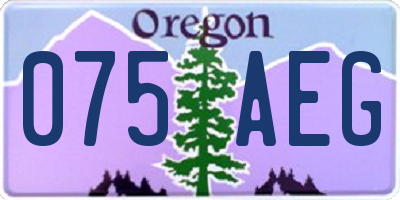 OR license plate 075AEG