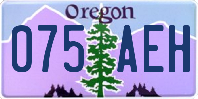 OR license plate 075AEH