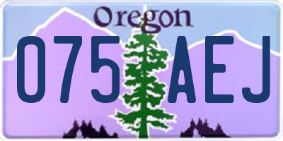 OR license plate 075AEJ