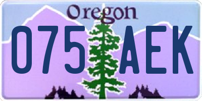 OR license plate 075AEK