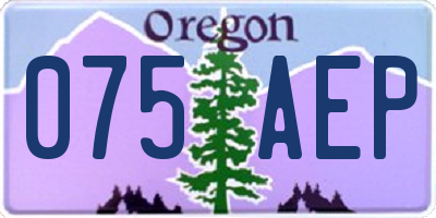 OR license plate 075AEP