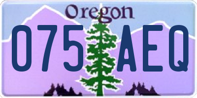 OR license plate 075AEQ
