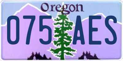 OR license plate 075AES