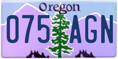 OR license plate 075AGN
