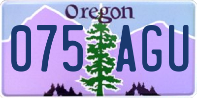 OR license plate 075AGU