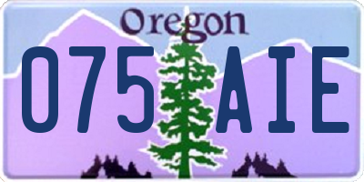 OR license plate 075AIE