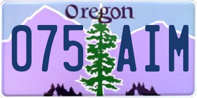 OR license plate 075AIM