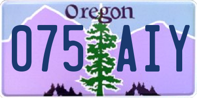 OR license plate 075AIY
