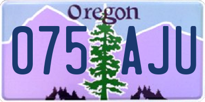 OR license plate 075AJU