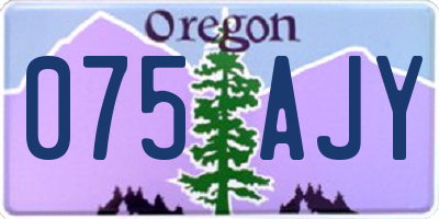 OR license plate 075AJY