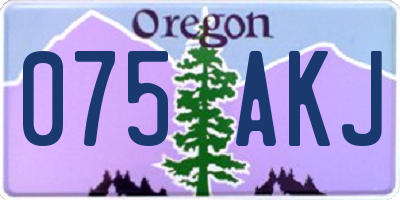 OR license plate 075AKJ