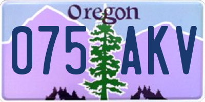OR license plate 075AKV