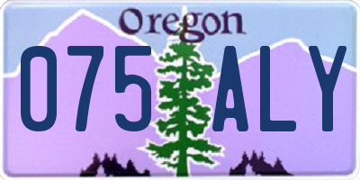 OR license plate 075ALY
