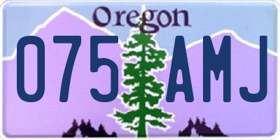 OR license plate 075AMJ
