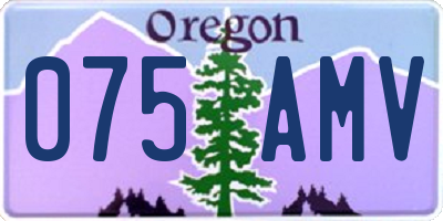 OR license plate 075AMV