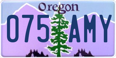 OR license plate 075AMY