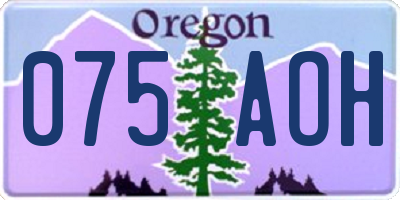 OR license plate 075AOH