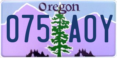 OR license plate 075AOY