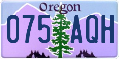 OR license plate 075AQH