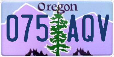 OR license plate 075AQV