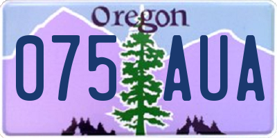OR license plate 075AUA