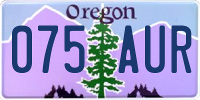 OR license plate 075AUR