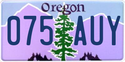 OR license plate 075AUY