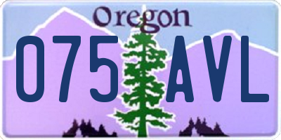 OR license plate 075AVL