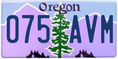 OR license plate 075AVM