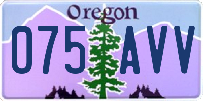 OR license plate 075AVV