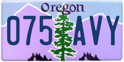 OR license plate 075AVY