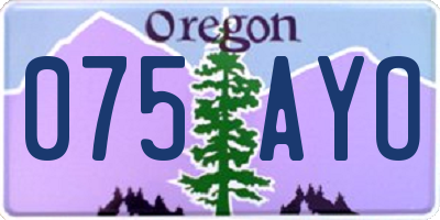 OR license plate 075AYO