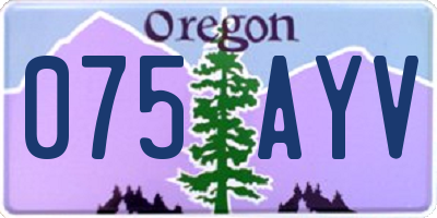 OR license plate 075AYV