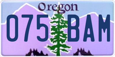 OR license plate 075BAM