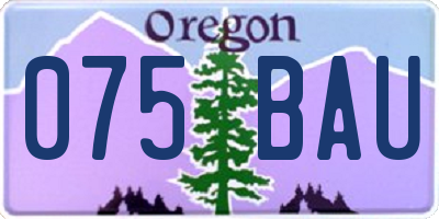 OR license plate 075BAU