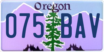 OR license plate 075BAV