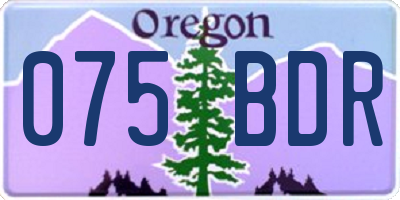 OR license plate 075BDR