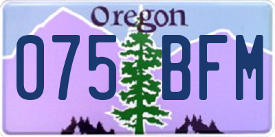 OR license plate 075BFM