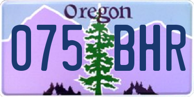 OR license plate 075BHR
