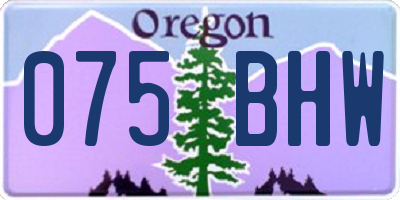 OR license plate 075BHW