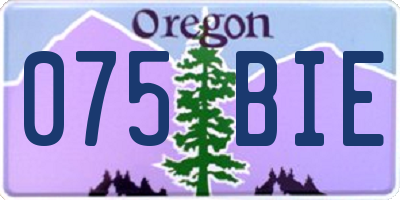 OR license plate 075BIE