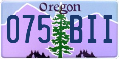 OR license plate 075BII