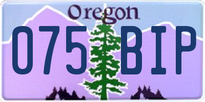 OR license plate 075BIP