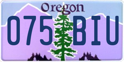 OR license plate 075BIU