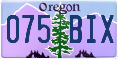 OR license plate 075BIX