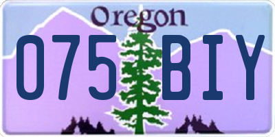 OR license plate 075BIY