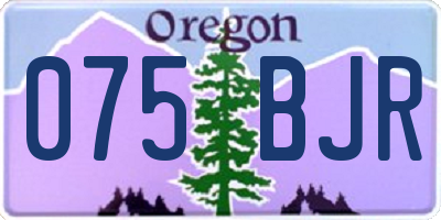 OR license plate 075BJR