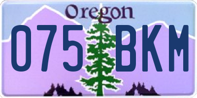 OR license plate 075BKM