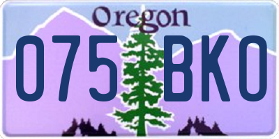 OR license plate 075BKO
